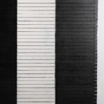 Zebra Blind