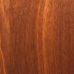 Maroon-brown